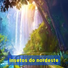 insetos do nordeste